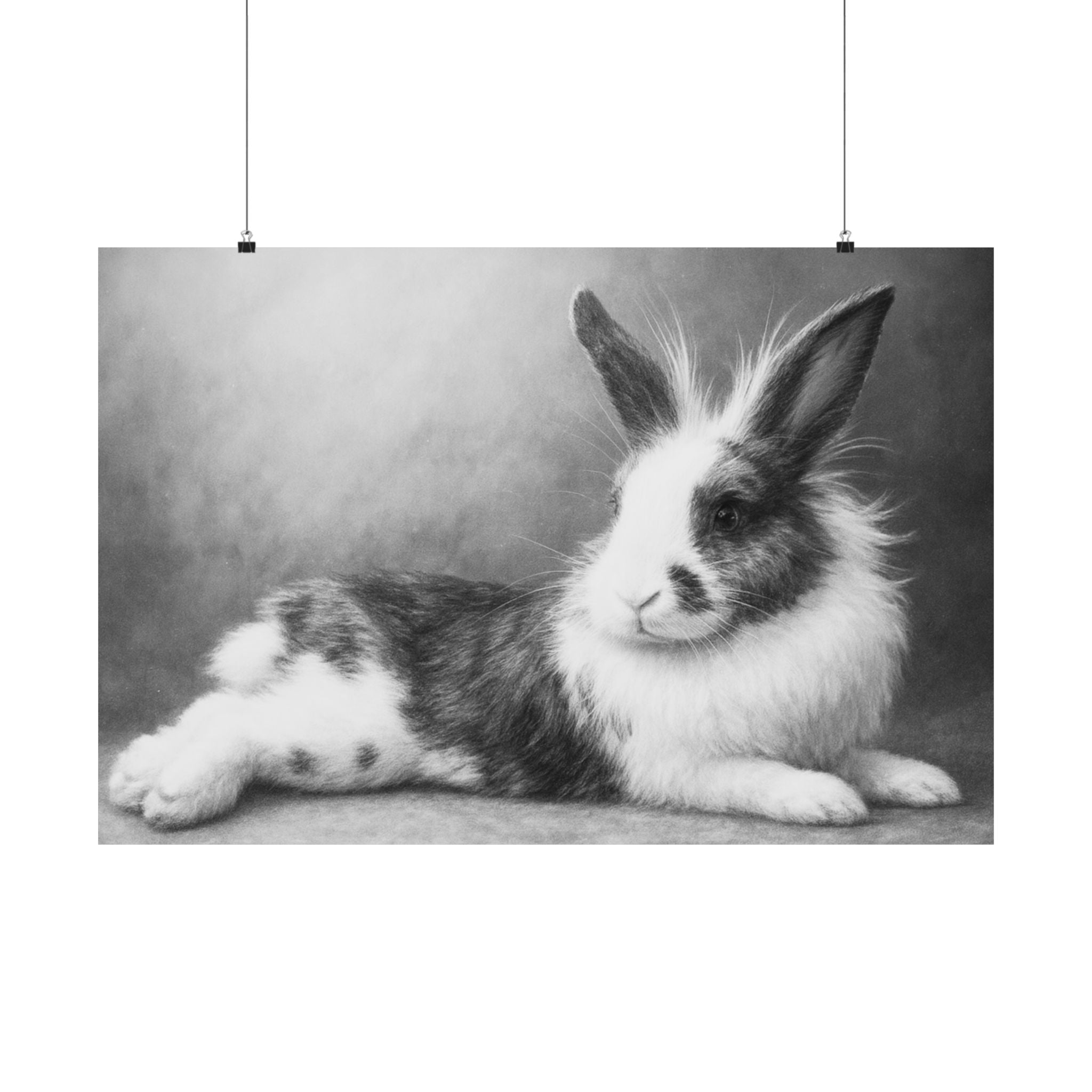 Bunny Photo Matte Poster — Black & White Horizontal Wall Art