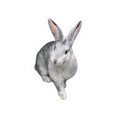 Grey Bunny Kiss-Cut Sticker