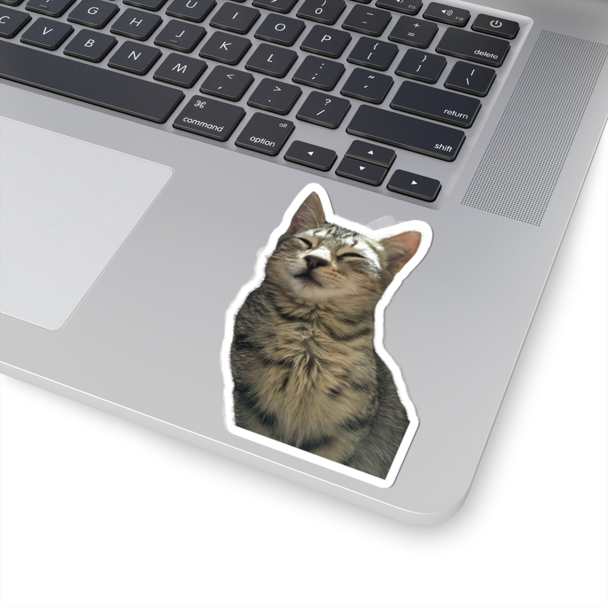 Funny Cat Kiss-Cut Sticker