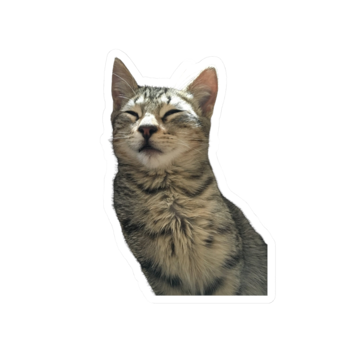 Funny Cat Kiss-Cut Sticker