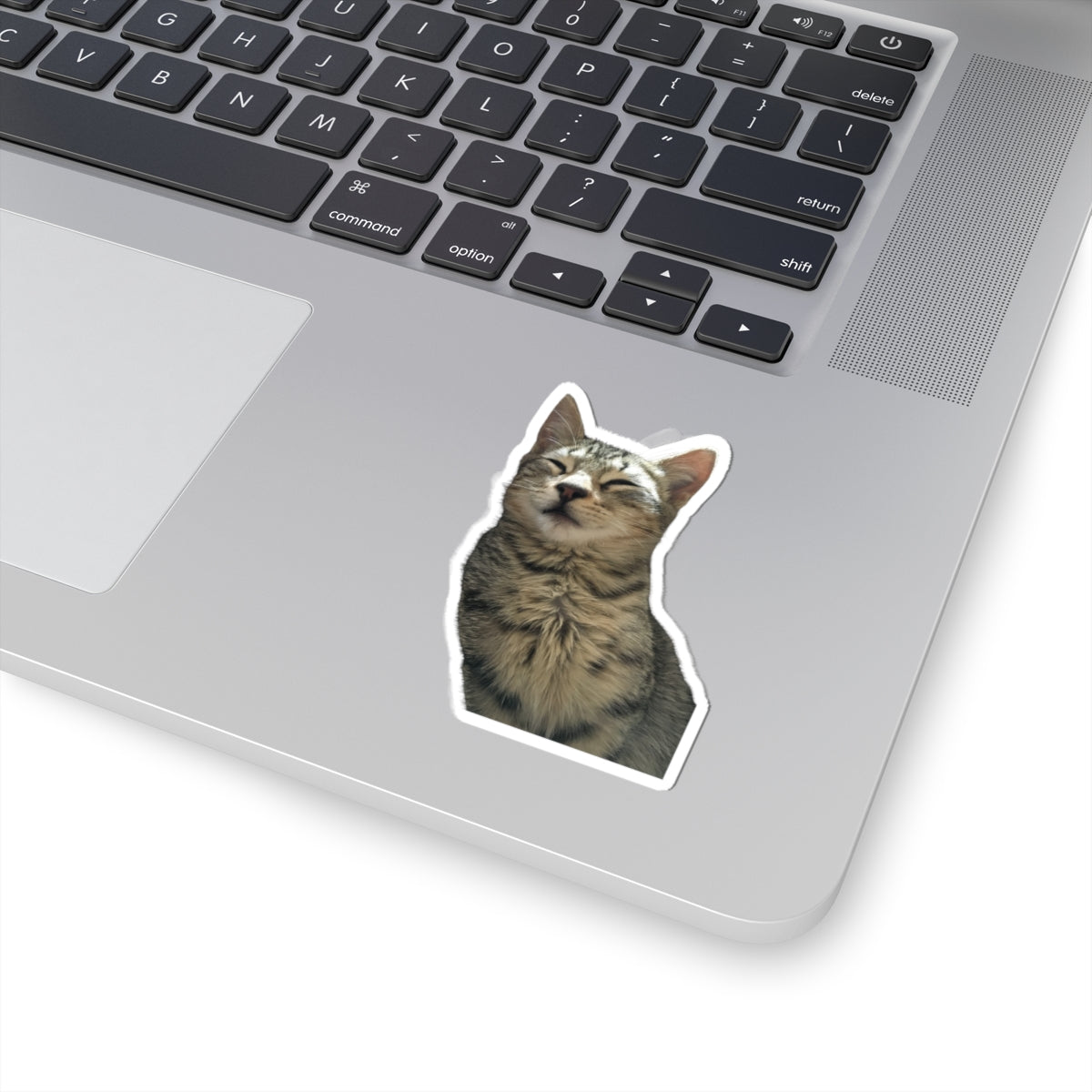 Funny Cat Kiss-Cut Sticker