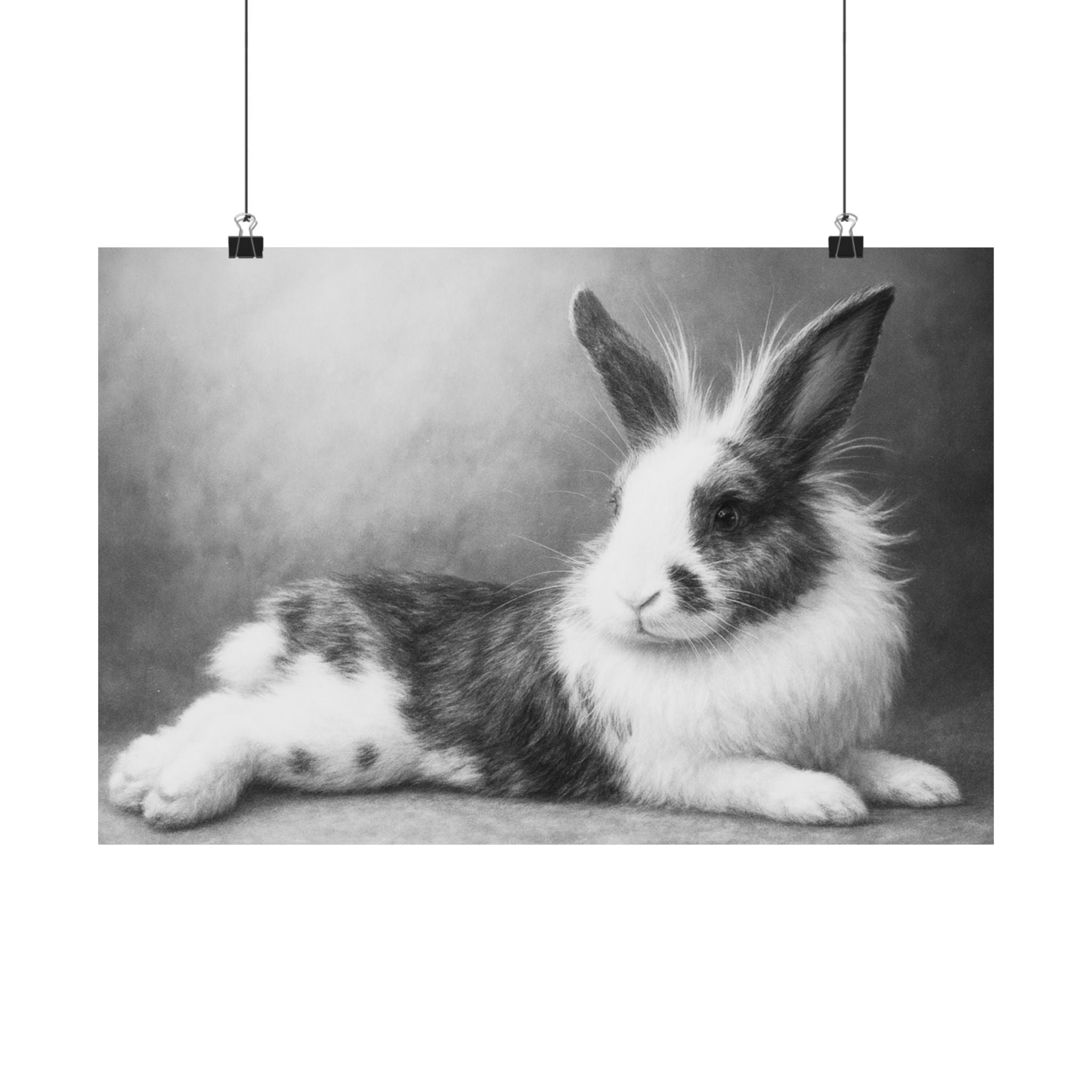 Bunny Photo Matte Poster — Black & White Horizontal Wall Art