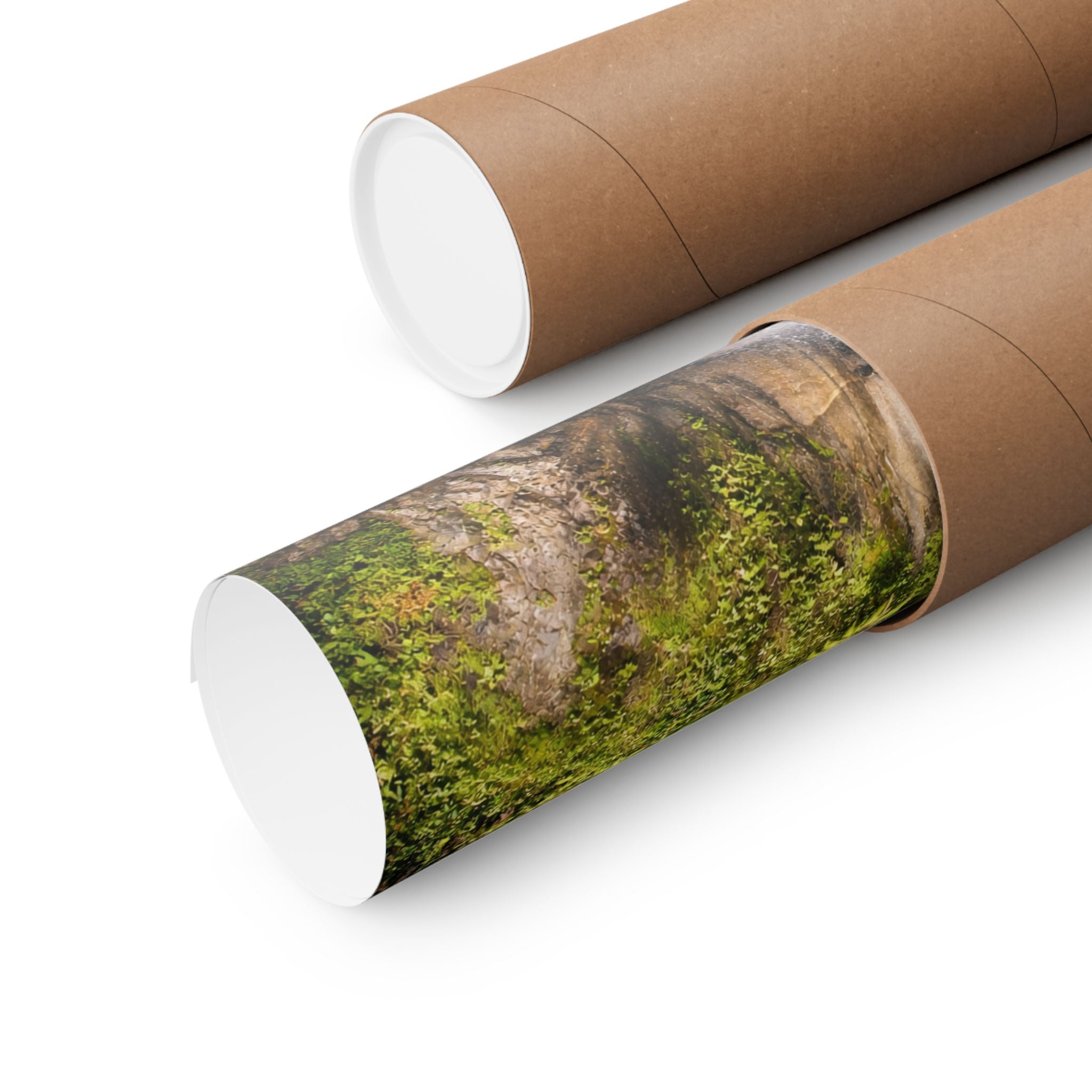 Waterfall Matte Horizontal Poster Landscape Wall Art