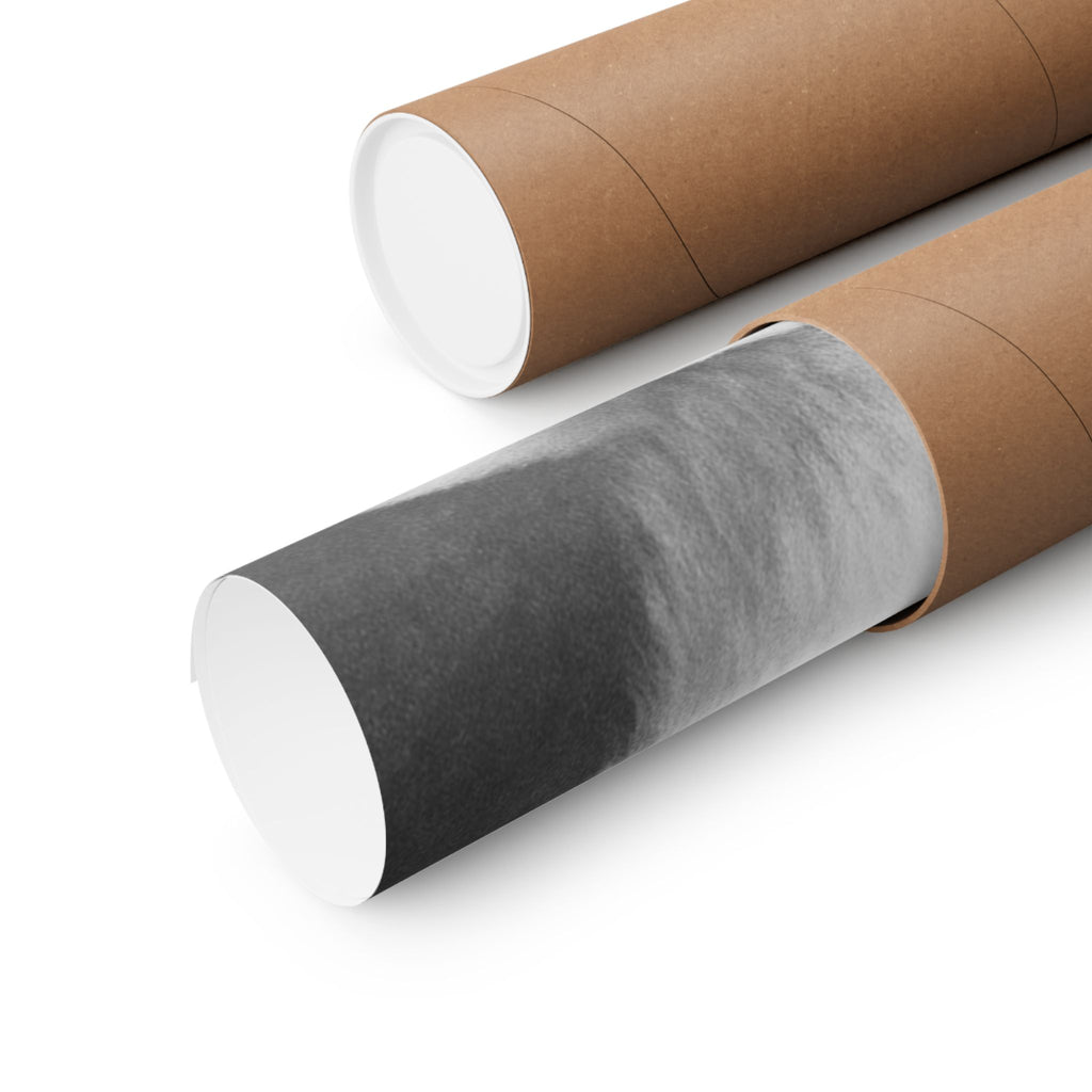 Bunny Photo Matte Poster — Black & White Horizontal Wall Art