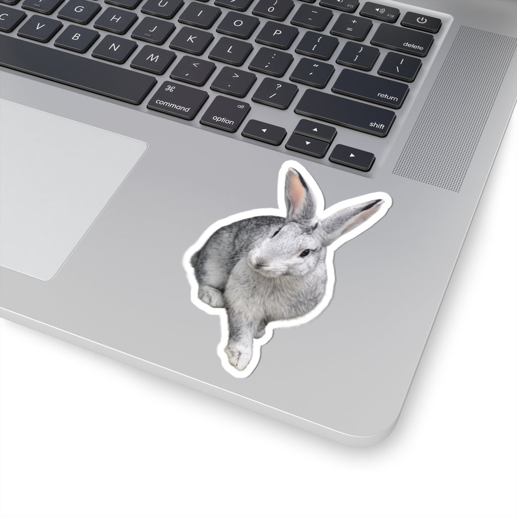 Grey Bunny Kiss-Cut Sticker