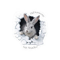 Bunny Kiss-Cut Sticker
