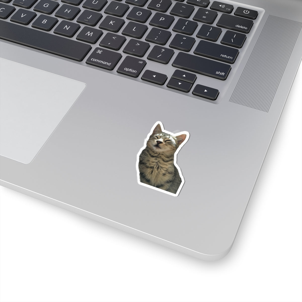 Funny Cat Kiss-Cut Sticker