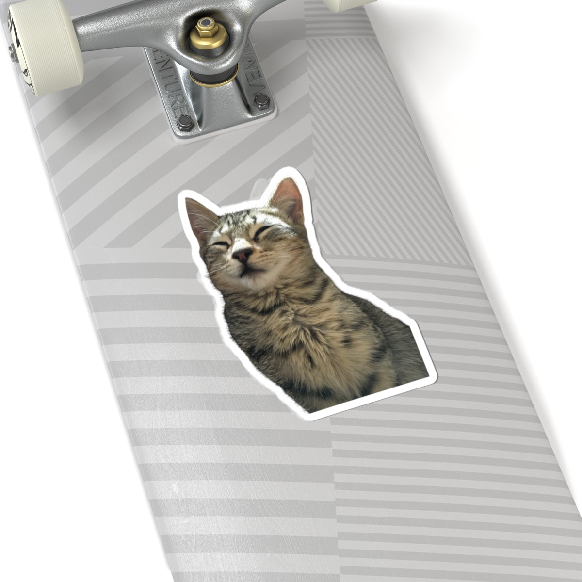 Funny Cat Kiss-Cut Sticker