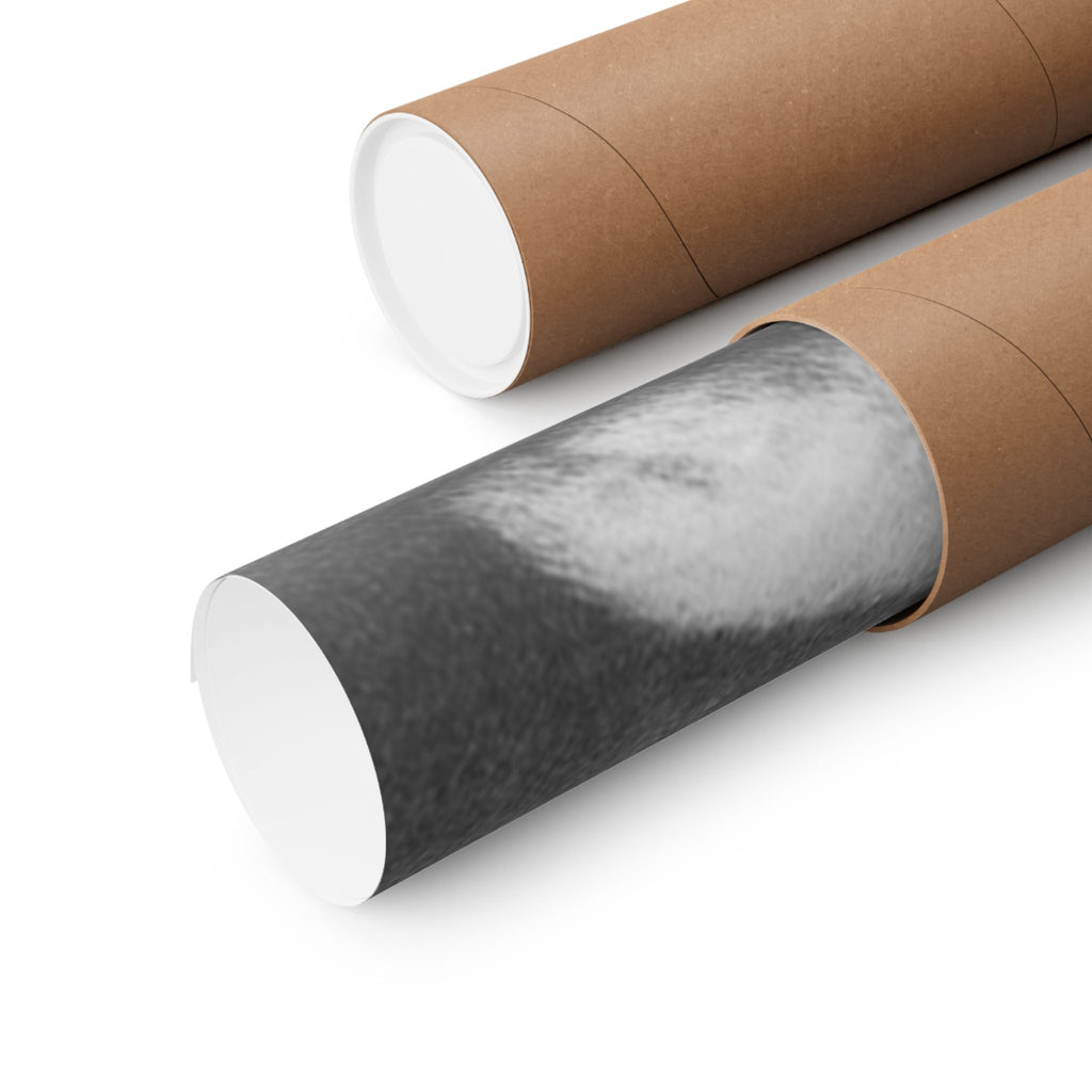 Bunny Photo Matte Poster — Black & White Horizontal Wall Art