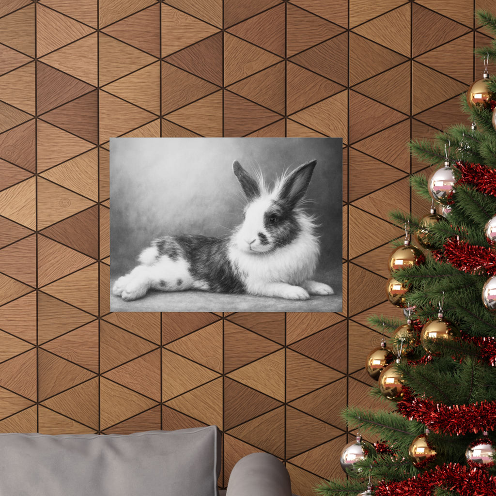 Bunny Photo Matte Poster — Black & White Horizontal Wall Art