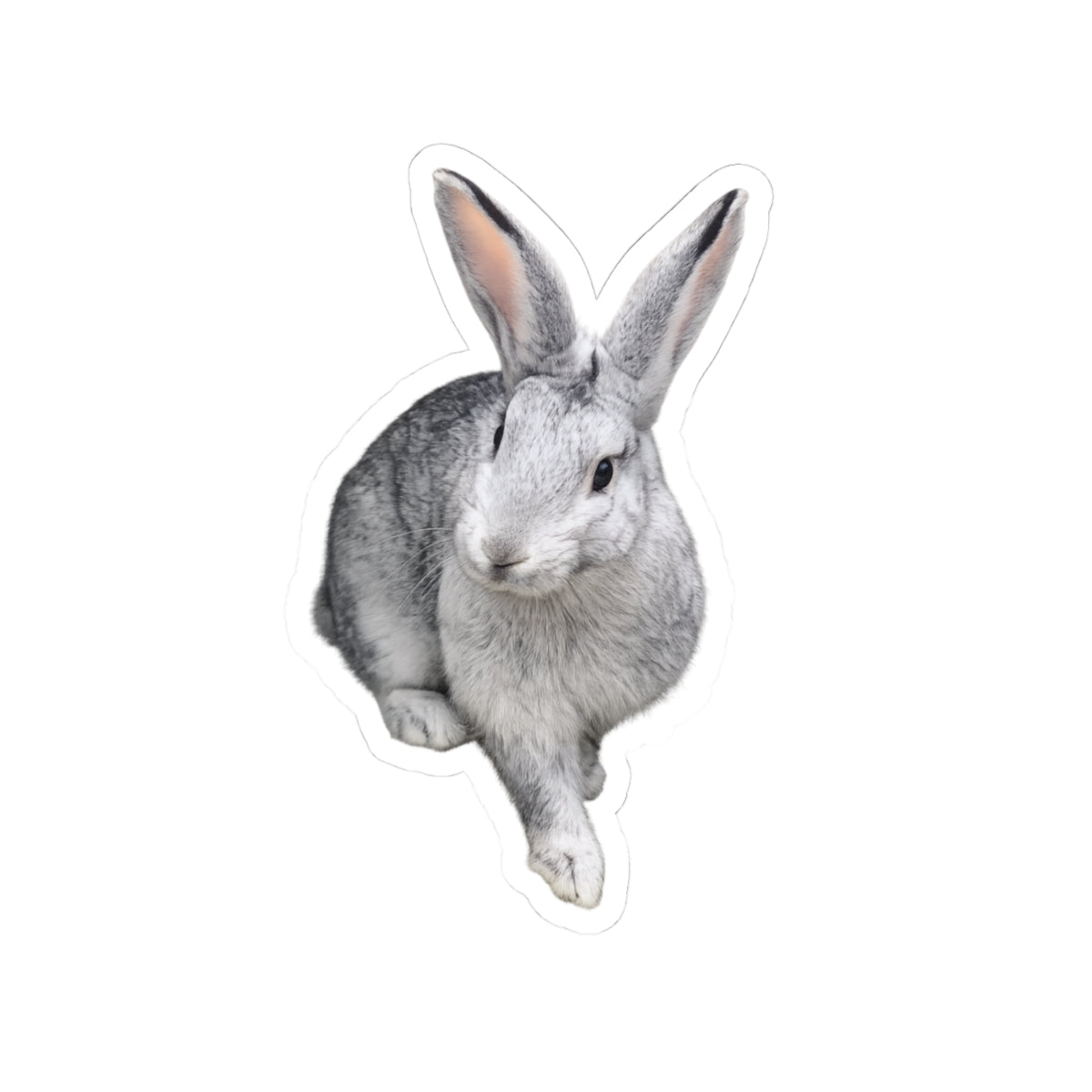 Grey Bunny Kiss-Cut Sticker