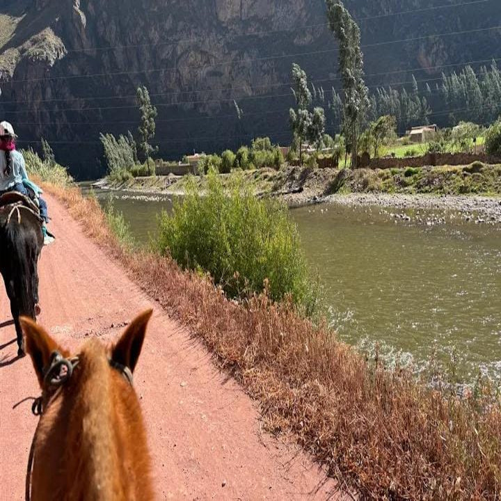 Horses on a trail with a scenic view of a river and mountains.