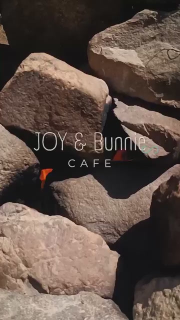 Pachamanca Lunch Experience